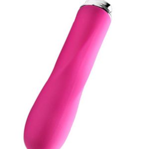 Dorr Foxy Mini Wave: Minivibrator