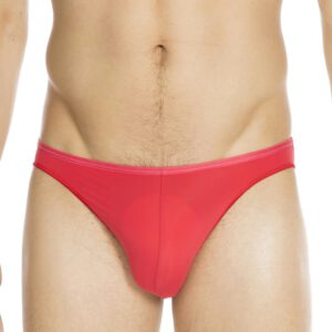 HOM Plumes: Micro Brief