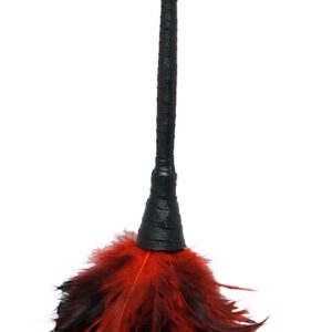 Federstab „Frisky Feather Duster“, 35,6 cm